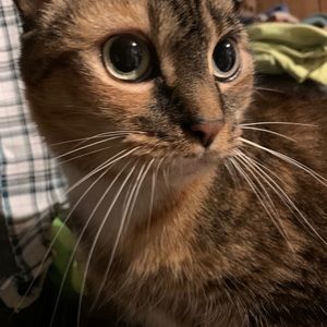 Meet your Posher, Josh